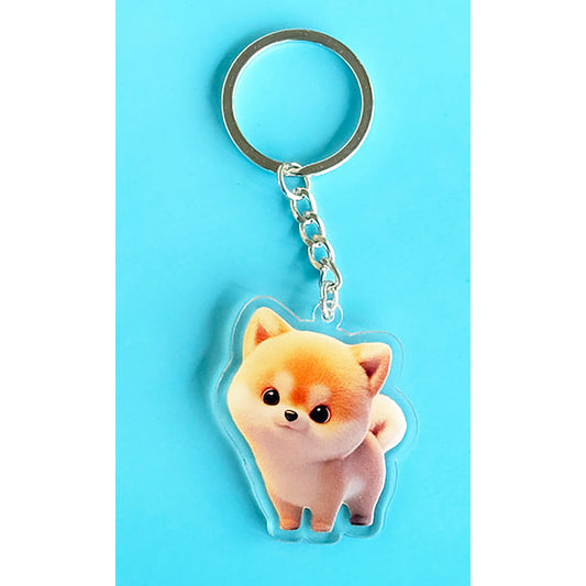 Custom Acrylic Key Chains