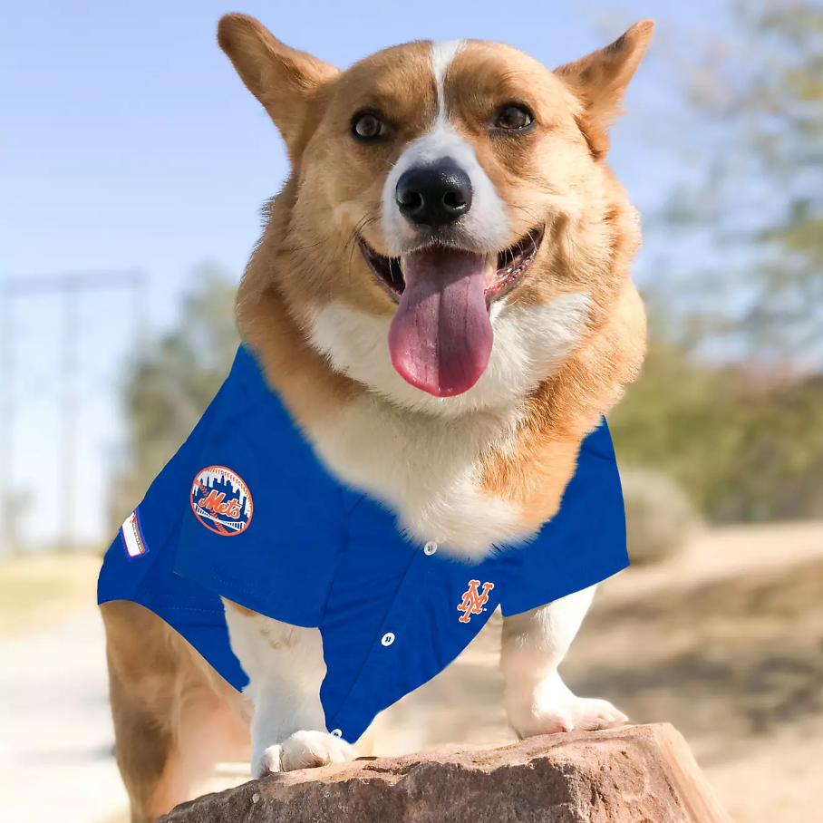 Pet Dog Baseball Jersey (Full Dye Sublimation)